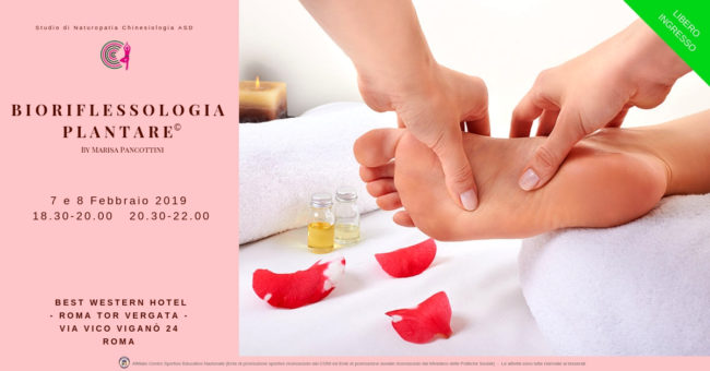 Roma-7/8-feb-2019